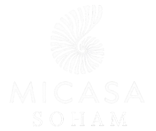 EXPERIENCE MICASA SOHAM
